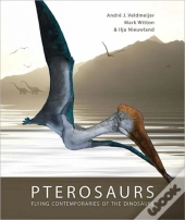 Pterosaurs