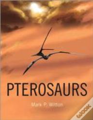 Pterosaurs