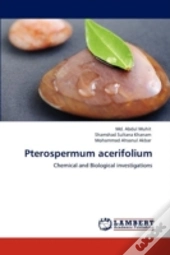 Pterospermum Acerifolium