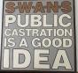 Public Castration Is A Good Idea - Vinil - Preview