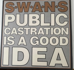 Capa do artigo Public Castration Is A Good Idea - Vinil
