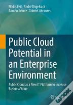 Public Cloud Potential In An Enterprise Environment