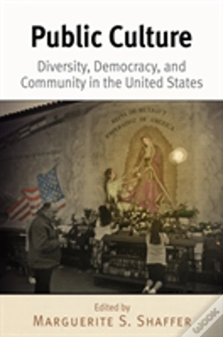 Capa do artigo Public Culture