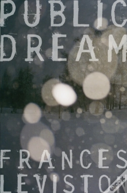 Capa do artigo Public Dream