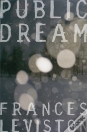 Capa do artigo Public Dream