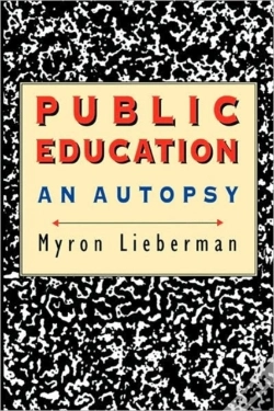 Capa do artigo Public Education