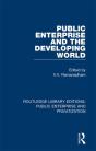 Public Enterprise And The Developing World - Preview