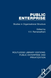 Capa do artigo Public Enterprise