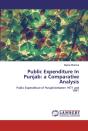 Public Expenditure In Punjab - Preview