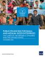 Public Financing For Small And Medium-Sized Enterprises - Preview