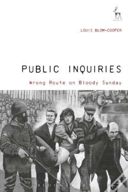 Capa do artigo Public Inquiries