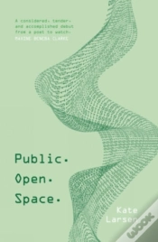 Capa do artigo Public. Open. Space.