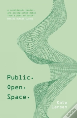 Capa do artigo Public. Open. Space.