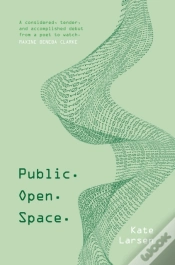 Capa do artigo Public. Open. Space