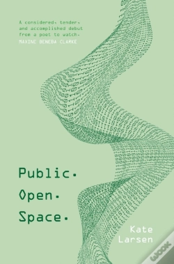 Capa do artigo Public. Open. Space