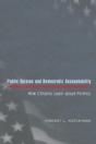 Public Opinion And Democratic Accountability - Preview