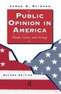 Public Opinion In America - Preview