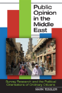 Public Opinion In The Middle East - Preview
