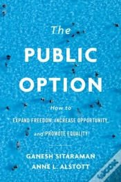 Capa do artigo Public Option
