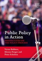 Public Policy In Action