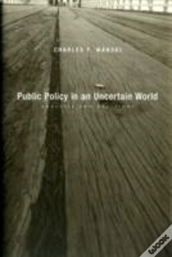 Capa do artigo Public Policy In An Uncertain World