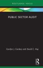 Public Sector Audit - Preview
