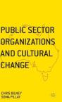 Public Sector Organizations And Cultural Change - Preview