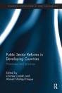 Public Sector Reforms In Developing Countries - Preview