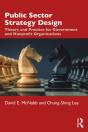 Public Sector Strategy Design - Preview