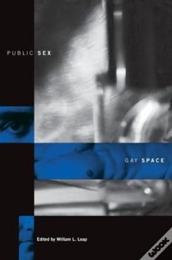 Capa do artigo Public Sex/Gay Space