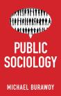 Public Sociology - Preview