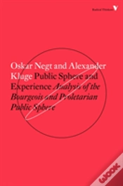 Capa do artigo Public Sphere And Experience