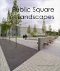 Public Square Landscape - Preview