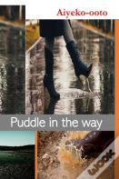 Puddle In The Way