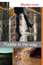 Puddle In The Way - Preview