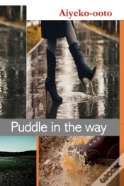 Capa do artigo Puddle In The Way