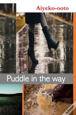 Capa do artigo Puddle In The Way