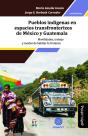 Pueblos Indigenas En Espacios Transfronterizos De Mexico Y - Preview