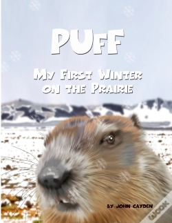 Capa do artigo Puff