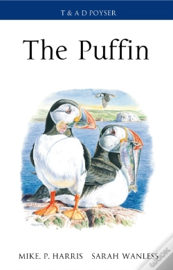 Capa do artigo Puffin