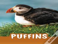 Puffins