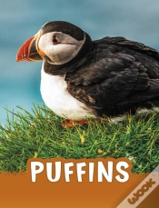 Capa do artigo Puffins