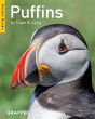 Puffins (Pocket Books) - Preview