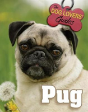 Pug - Preview