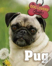 Capa do artigo Pug