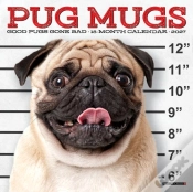 Capa do artigo Pug Mugs 2027 Mini