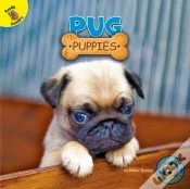Capa do artigo Pug Puppies