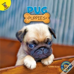 Capa do artigo Pug Puppies