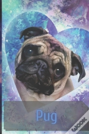 Capa do artigo Pug