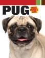 Pug - Preview